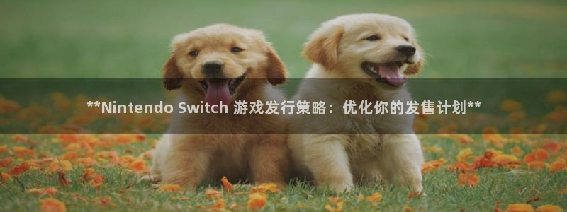 新城平台注册公司流程及费用：**Nintendo Switch 游戏发行策略：优化你的发售计划**