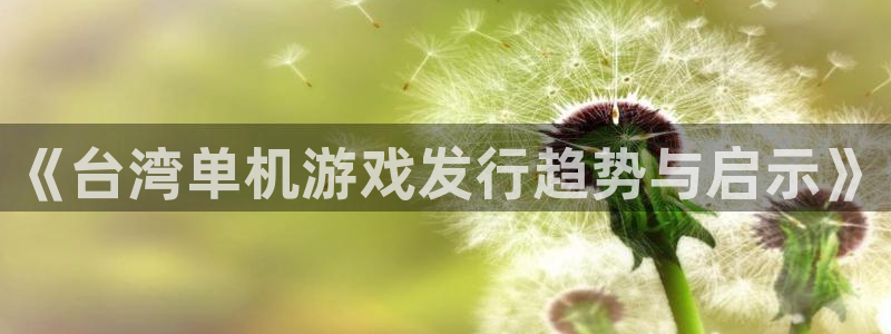 新城平台登录入口官网查询系统