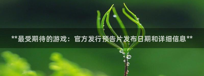 新城平台代理怎么样