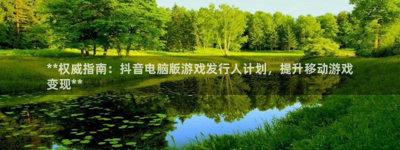 新城平台价7O777：**权威指南：抖音电脑版游戏发行人计划，提升移动游戏
变现**