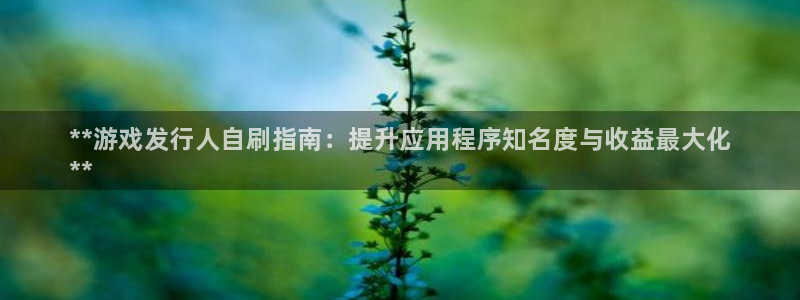 新城平台登录入口官网查询系统：**游戏发行人自刷指南：提升应用程序知名度与收益最大化
**