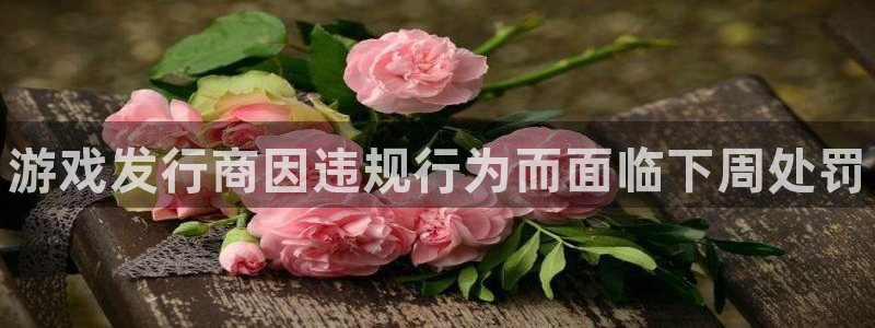 新城平台注册网址查询：游戏发行商因违规行为而面临下周处罚