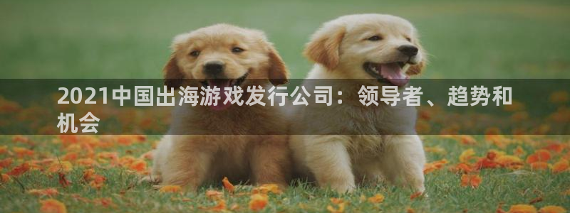 新城平台注册流程：2021中国出海游戏发行公司：领导者、趋势和
机会