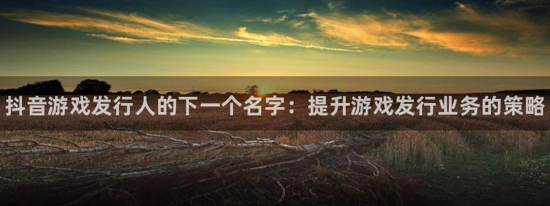 新城平台总代理是谁：抖音游戏发行人的下一个名字：提升游戏发行业务的策略