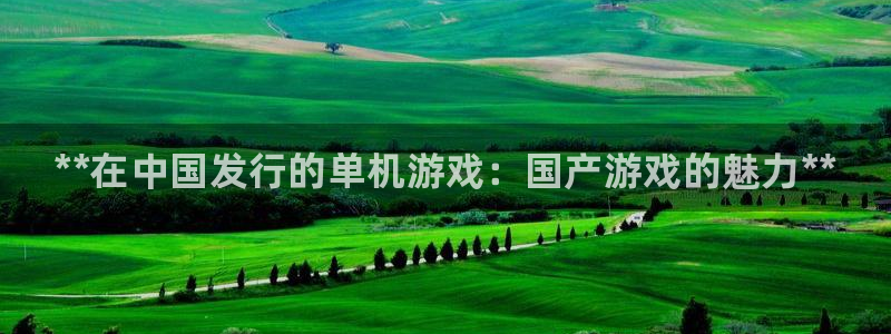 新城平台登录入口官网首页查询：**在中国发行的单机游戏：国产游戏的魅力**