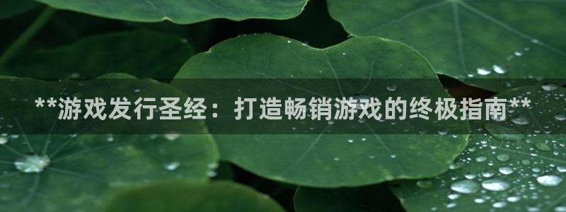新城平台注册公司流程及费用：**游戏发行圣经：打造畅销游戏的终极指南**