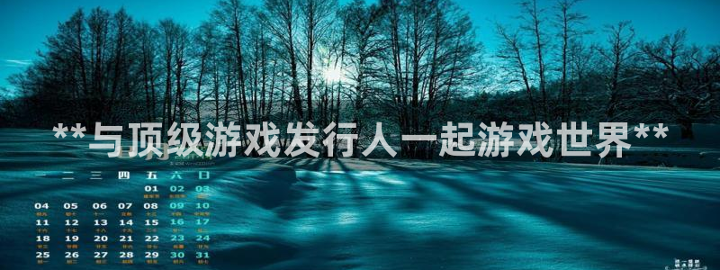 新城平台属于哪个系列