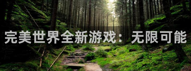 新城平台是干嘛的公司有哪些：完美世界全新游戏：无限可能