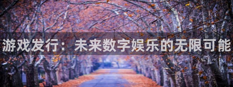 新城平台注册登录地址怎么填：游戏发行：未来数字娱乐的无限可能