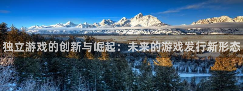 新城平台招商：独立游戏的创新与崛起：未来的游戏发行新形态