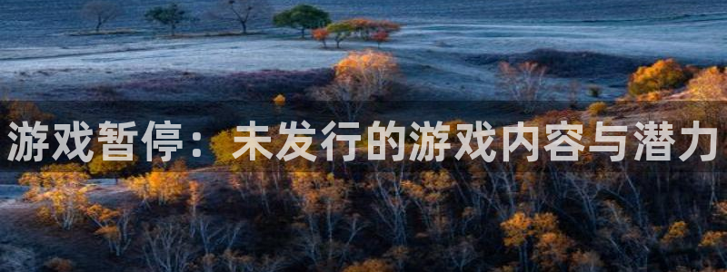 新城平台官网首页：游戏暂停：未发行的游戏内容与潜力