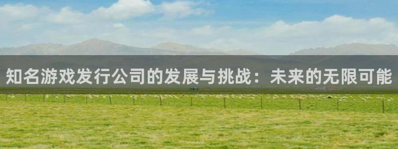 新城平台代理注册流程：知名游戏发行公司的发展与挑战：未来的无限可能