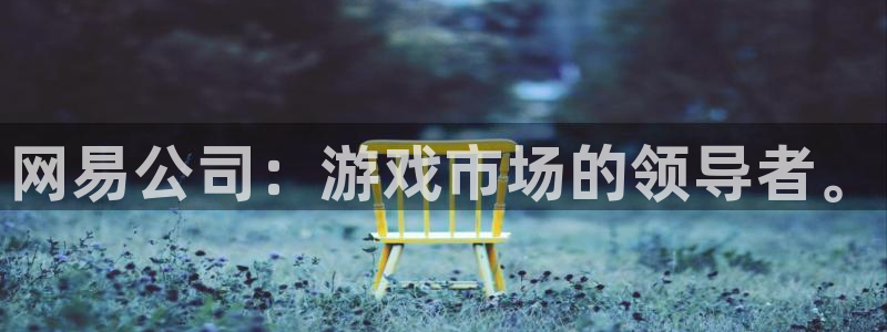 新城平台平台：网易公司：游戏市场的领导者。