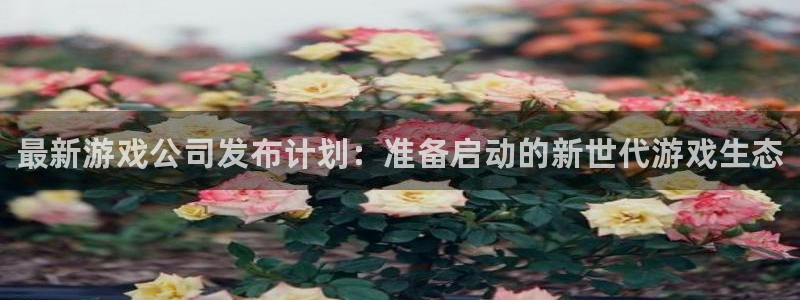 新城平台新注册：最新游戏公司发布计划：准备启动的新世代游戏生态