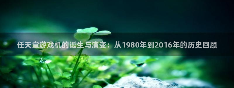 新城平台登录入口官网首页查询：任天堂游戏机的诞生与演变：从1980年到2016年的历史回顾