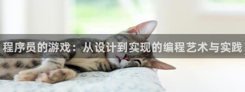 新城平台线路登录：程序员的游戏：从设计到实现的编程艺术与实践