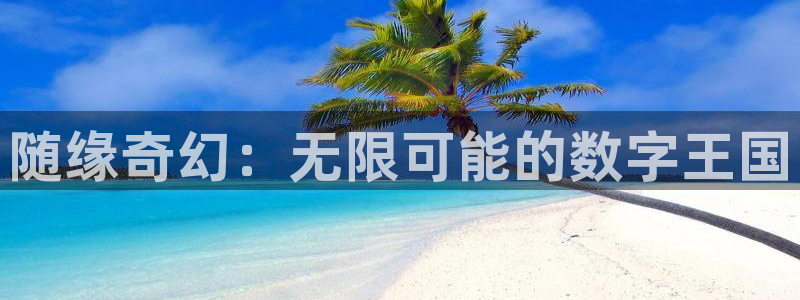 新城平台登录：随缘奇幻：无限可能的数字王国