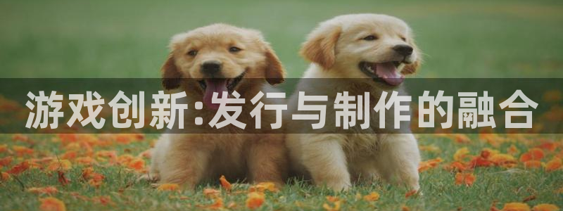 新城平台线路登录不上去了：游戏创新:发行与制作的融合
